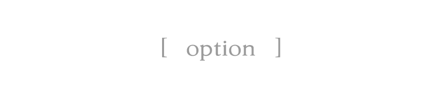 04-1_option_title.jpg