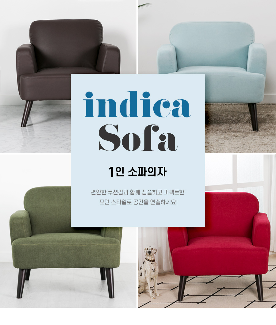 01-1_intro_indica_1p.jpg
