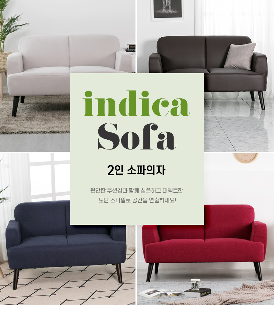 01-1_intro_indica_2p.jpg